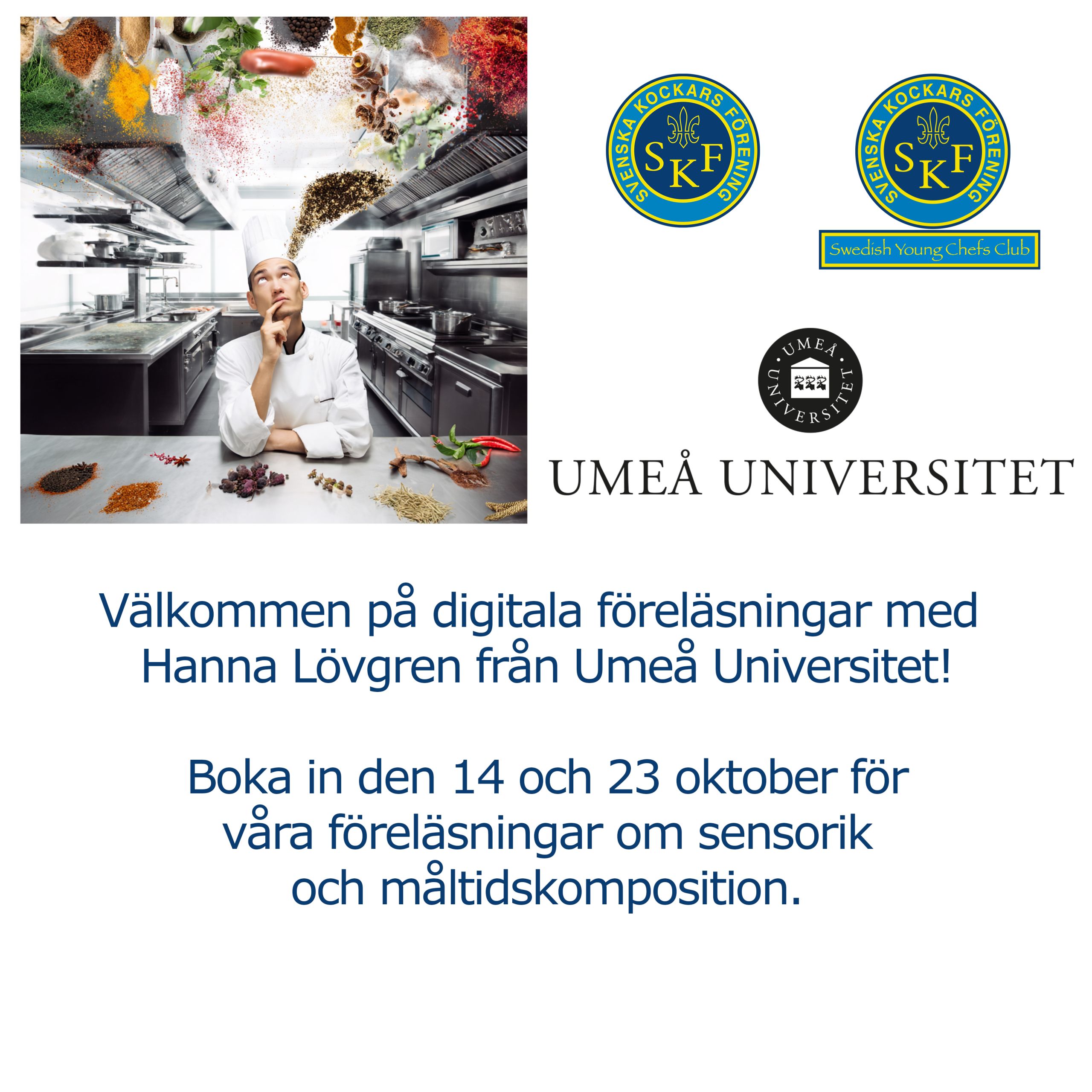 Umeu_kvadrat_jpg
