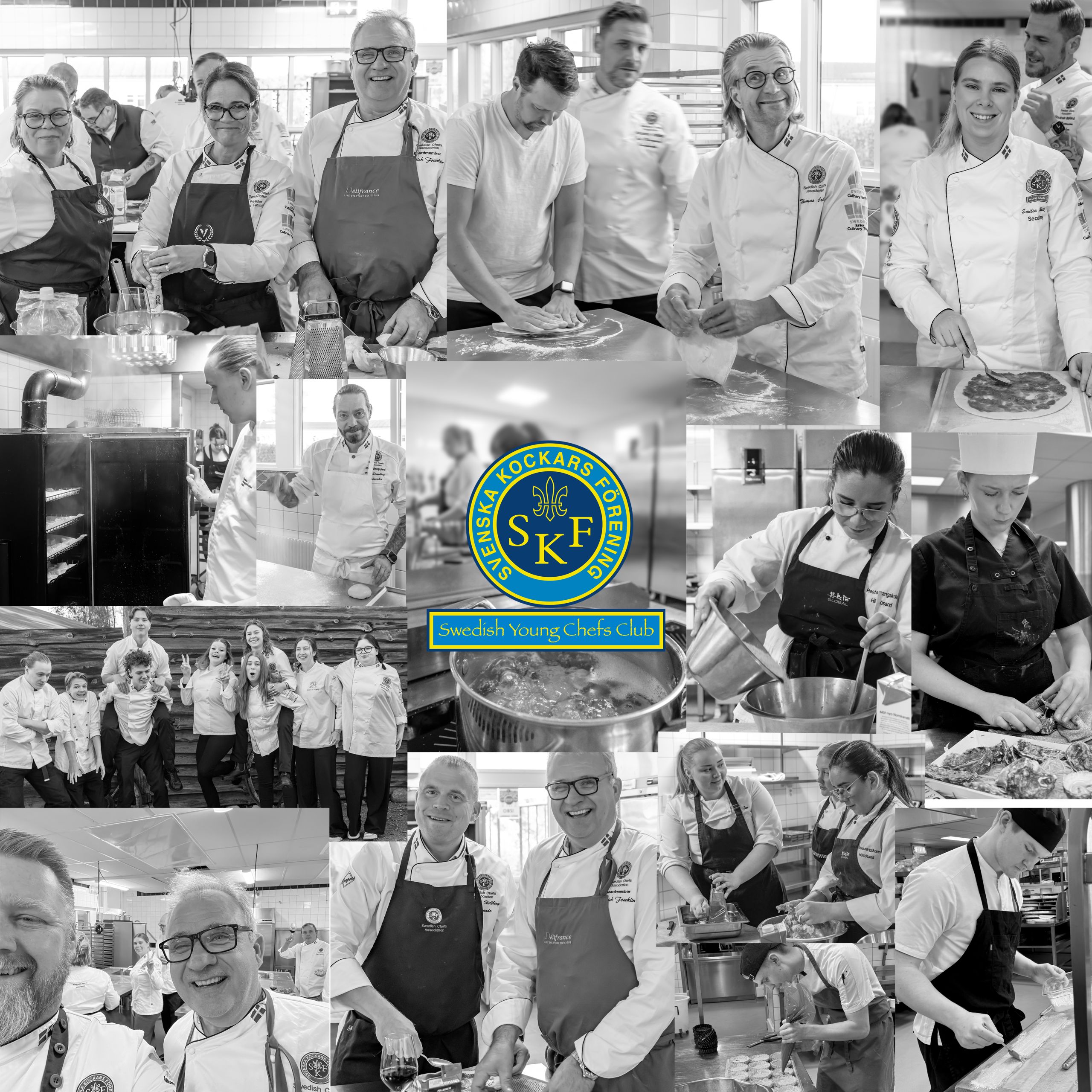 pushbild_mentorsprogram_ver01_JPG